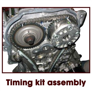 Timing Chain Kit Fit 02-07 Acura TSX Honda 2.4L DOHC V-TEC K24A2 K24A4
